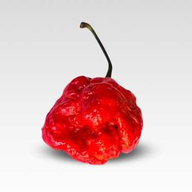Brazilian Moruga Pepper Seeds - The Pepper Pantry (Formerly Marie Sharp's)